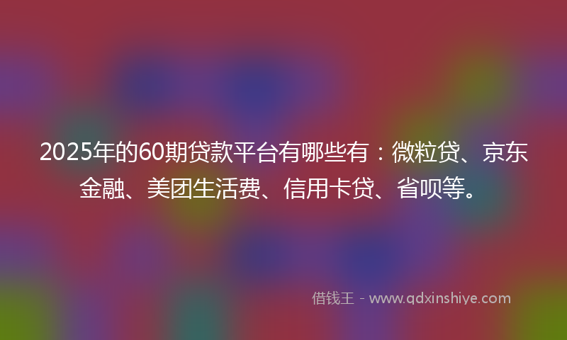 2025年的60期贷款平台有哪些有：微粒贷、京东金融、美团生活费、信用卡贷、省呗等。