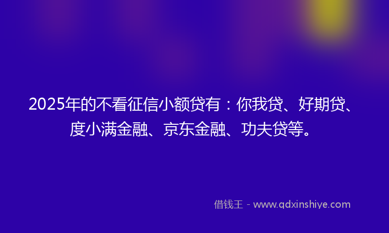 2025年的不看征信小额贷有：你我贷、好期贷、度小满金融、京东金融、功夫贷等。