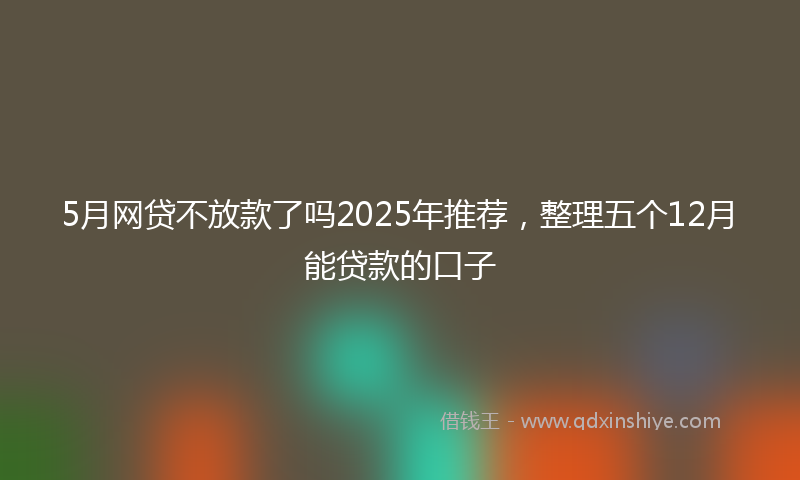 5月网贷不放款了吗2025年推荐，整理五个12月能贷款的口子