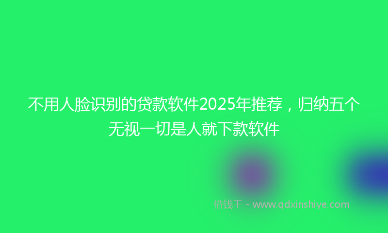 不用人脸识别的贷款软件2025年推荐，归纳五个无视一切是人就下款软件