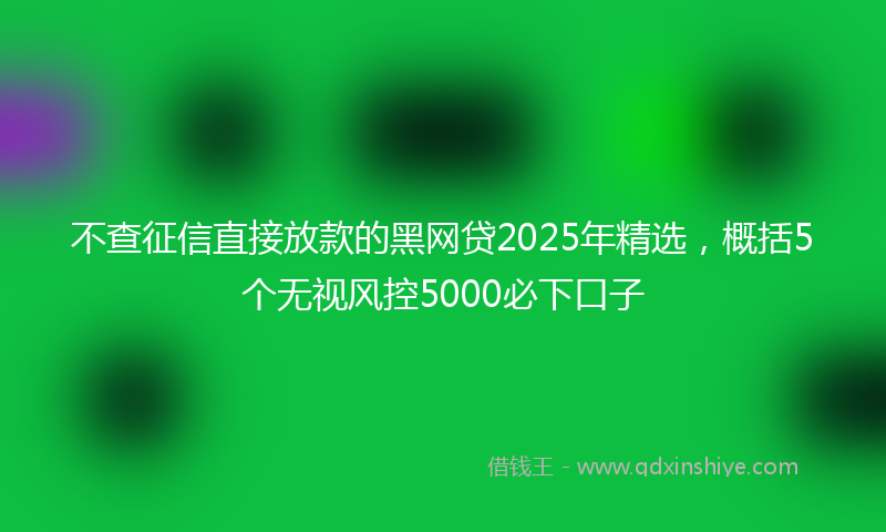 不查征信直接放款的黑网贷2025年精选，概括5个无视风控5000必下口子