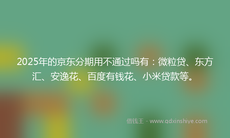 2025年的京东分期用不通过吗有：微粒贷、东方汇、安逸花、百度有钱花、小米贷款等。