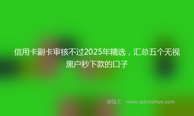 信用卡副卡审核不过2025年精选，汇总五个无视黑户秒下款的口子