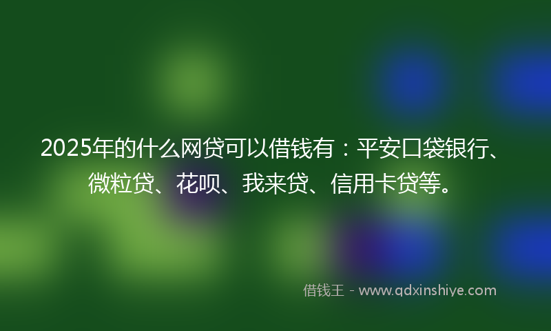 2025年的什么网贷可以借钱有：平安口袋银行、微粒贷、花呗、我来贷、信用卡贷等。