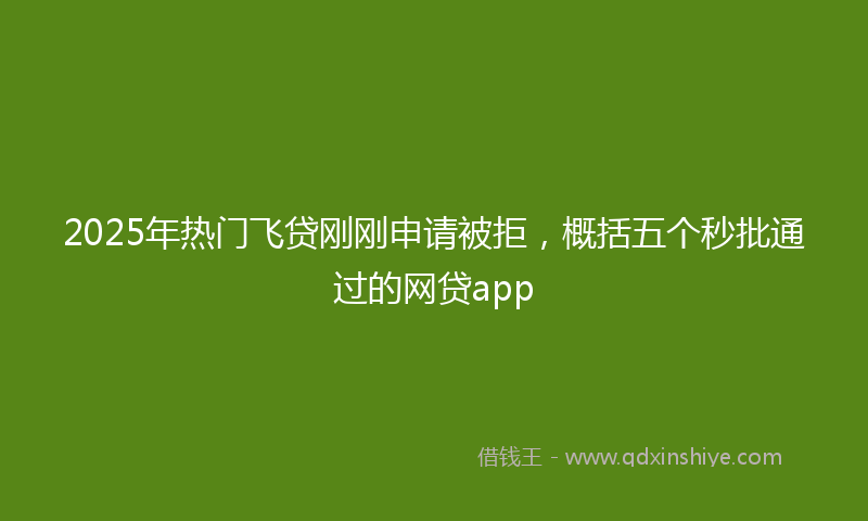 2025年热门飞贷刚刚申请被拒，概括五个秒批通过的网贷app