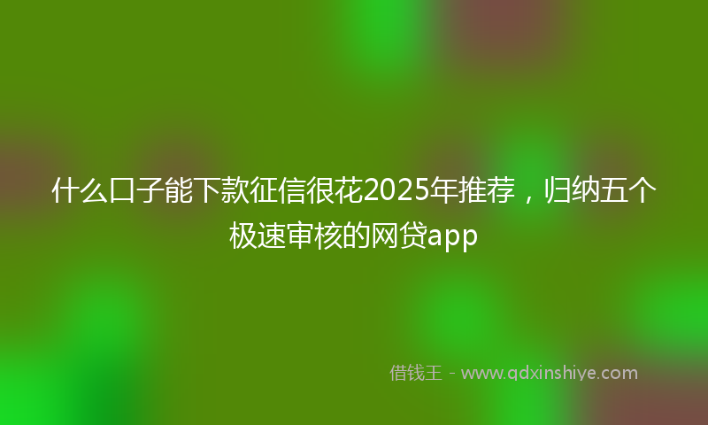 什么口子能下款征信很花2025年推荐，归纳五个极速审核的网贷app