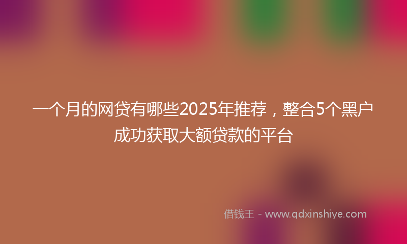 一个月的网贷有哪些2025年推荐，整合5个黑户成功获取大额贷款的平台