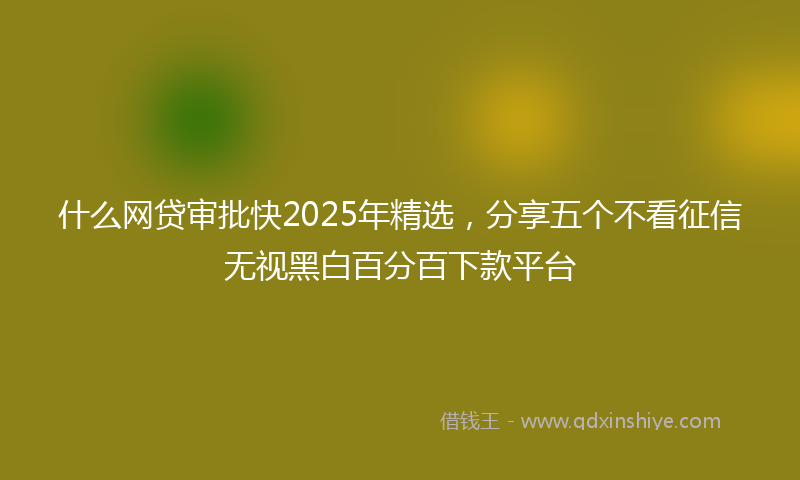 什么网贷审批快2025年精选，分享五个不看征信无视黑白百分百下款平台