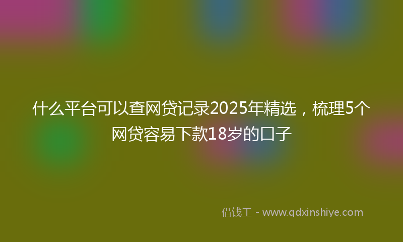 什么平台可以查网贷记录2025年精选，梳理5个网贷容易下款18岁的口子