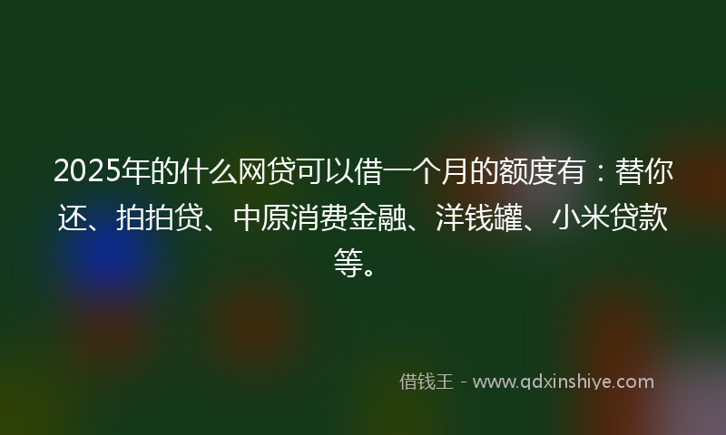 2025年的什么网贷可以借一个月的额度有：替你还、拍拍贷、中原消费金融、洋钱罐、小米贷款等。