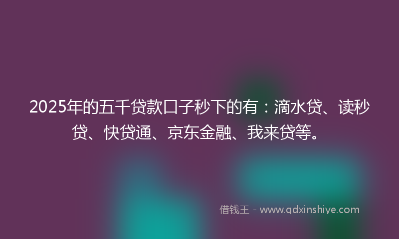 2025年的五千贷款口子秒下的有：滴水贷、读秒贷、快贷通、京东金融、我来贷等。