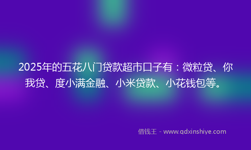 2025年的五花八门贷款超市口子有：微粒贷、你我贷、度小满金融、小米贷款、小花钱包等。