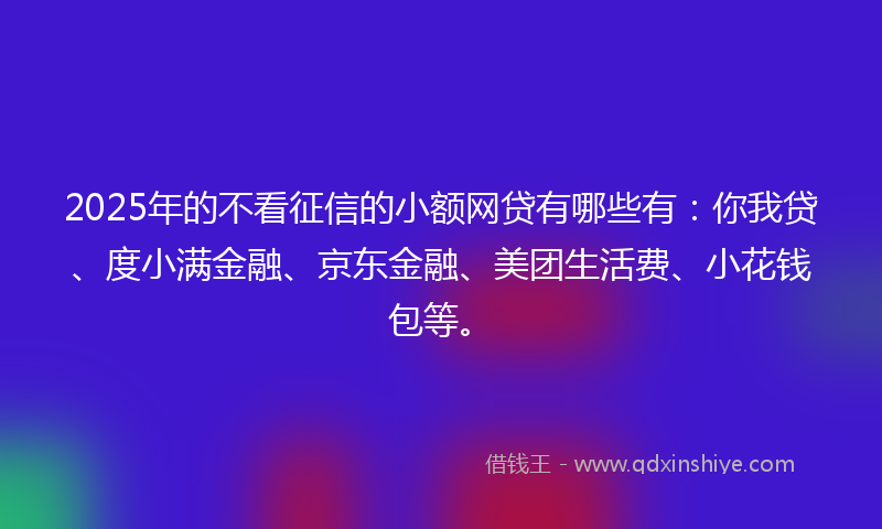2025年的不看征信的小额网贷有哪些有：你我贷、度小满金融、京东金融、美团生活费、小花钱包等。