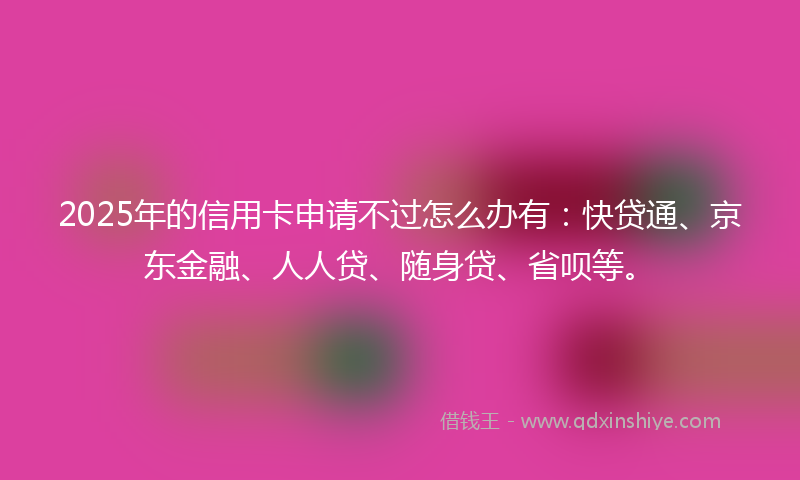 2025年的信用卡申请不过怎么办有：快贷通、京东金融、人人贷、随身贷、省呗等。