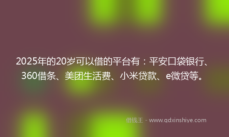 2025年的20岁可以借的平台有：平安口袋银行、360借条、美团生活费、小米贷款、e微贷等。