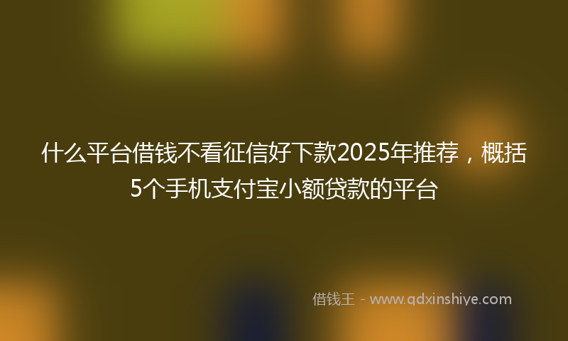 什么平台借钱不看征信好下款2025年推荐，概括5个手机支付宝小额贷款的平台