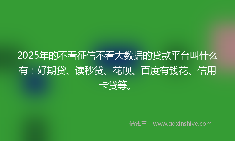 2025年的不看征信不看大数据的贷款平台叫什么有：好期贷、读秒贷、花呗、百度有钱花、信用卡贷等。
