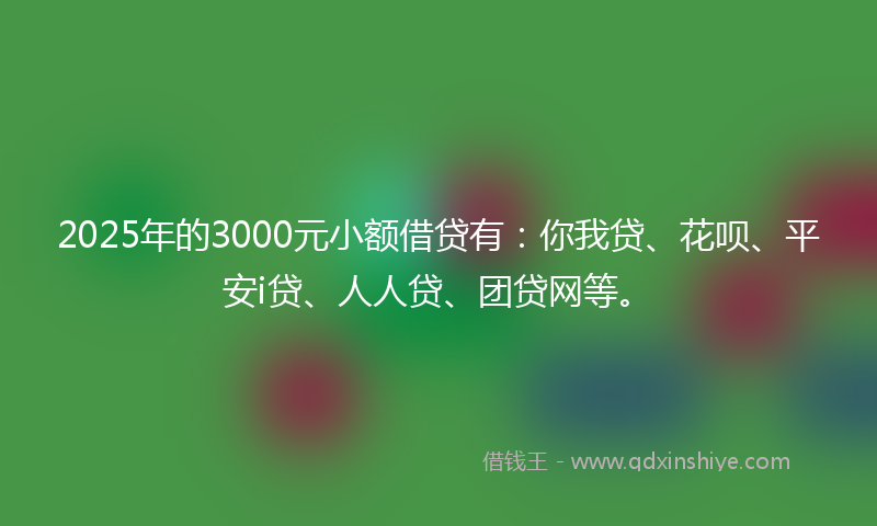2025年的3000元小额借贷有：你我贷、花呗、平安i贷、人人贷、团贷网等。