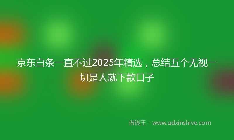 京东白条一直不过2025年精选，总结五个无视一切是人就下款口子