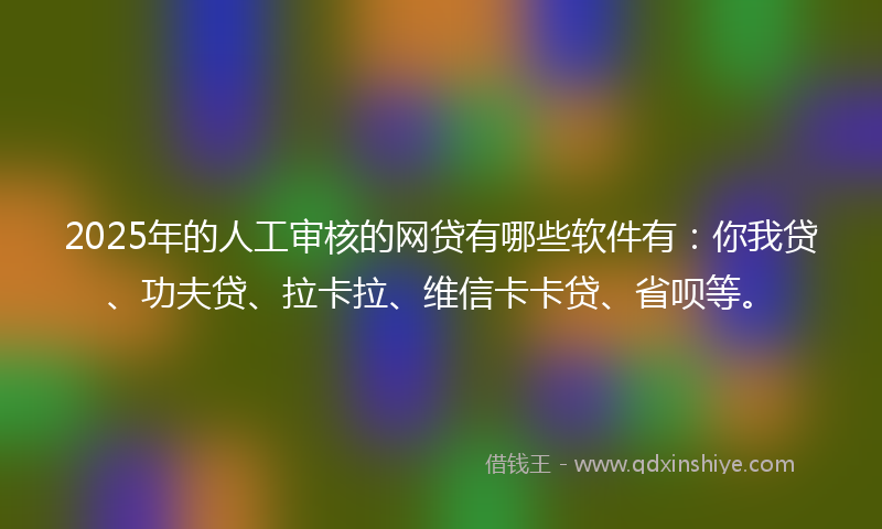 2025年的人工审核的网贷有哪些软件有：你我贷、功夫贷、拉卡拉、维信卡卡贷、省呗等。