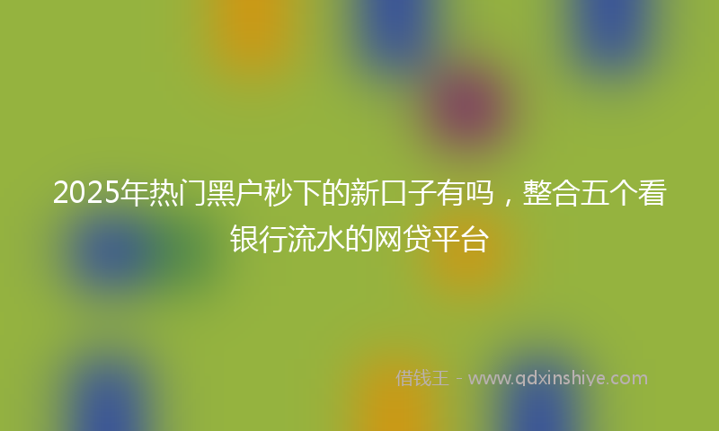 2025年热门黑户秒下的新口子有吗，整合五个看银行流水的网贷平台