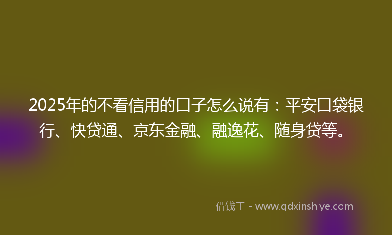 2025年的不看信用的口子怎么说有：平安口袋银行、快贷通、京东金融、融逸花、随身贷等。