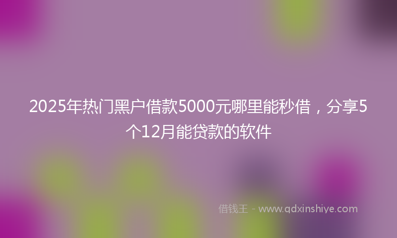 2025年热门黑户借款5000元哪里能秒借，分享5个12月能贷款的软件