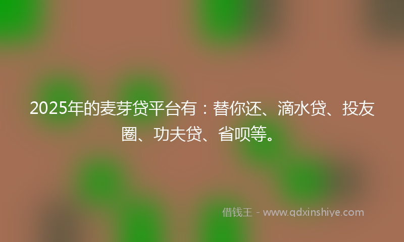 2025年的麦芽贷平台有：替你还、滴水贷、投友圈、功夫贷、省呗等。