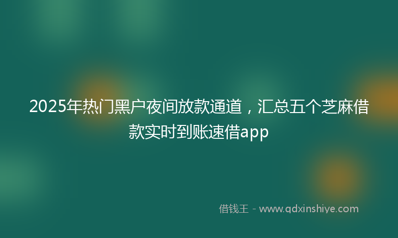 2025年热门黑户夜间放款通道，汇总五个芝麻借款实时到账速借app