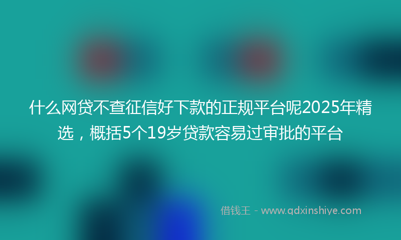 什么网贷不查征信好下款的正规平台呢2025年精选，概括5个19岁贷款容易过审批的平台