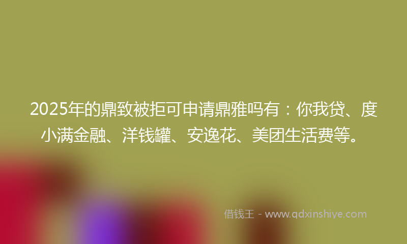 2025年的鼎致被拒可申请鼎雅吗有：你我贷、度小满金融、洋钱罐、安逸花、美团生活费等。