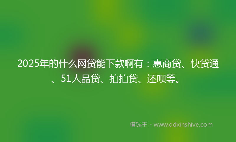 2025年的什么网贷能下款啊有：惠商贷、快贷通、51人品贷、拍拍贷、还呗等。