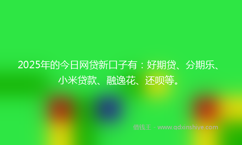 2025年的今日网贷新口子有：好期贷、分期乐、小米贷款、融逸花、还呗等。