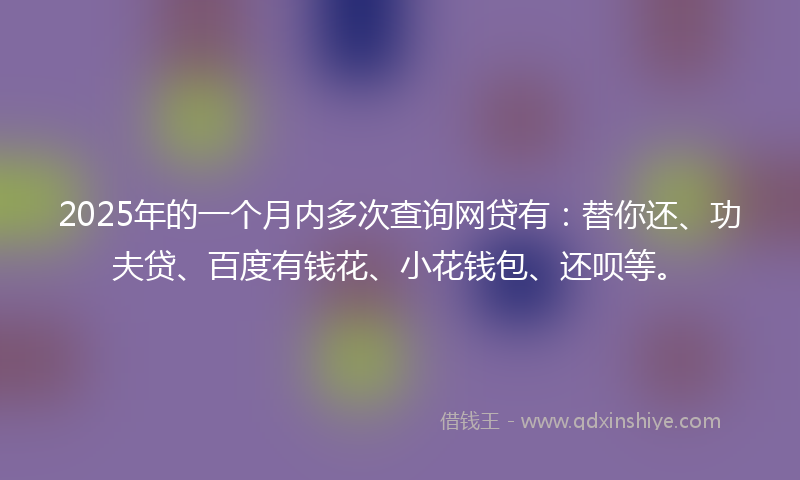 2025年的一个月内多次查询网贷有：替你还、功夫贷、百度有钱花、小花钱包、还呗等。