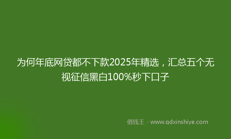 为何年底网贷都不下款2025年精选，汇总五个无视征信黑白100%秒下口子