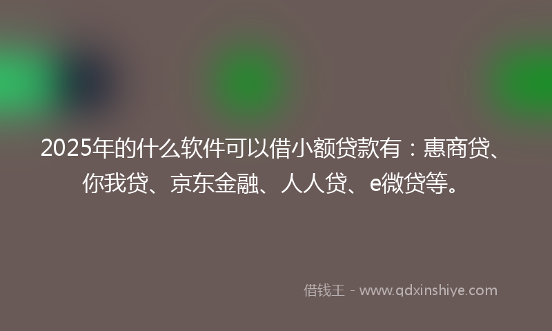 2025年的什么软件可以借小额贷款有：惠商贷、你我贷、京东金融、人人贷、e微贷等。