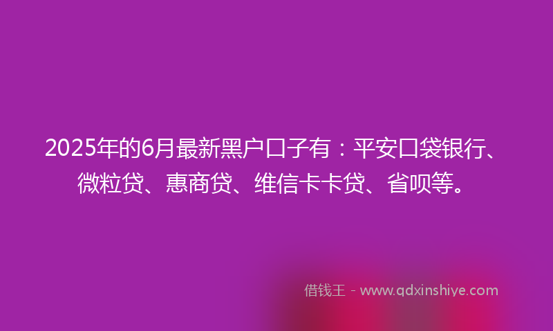 2025年的6月最新黑户口子有：平安口袋银行、微粒贷、惠商贷、维信卡卡贷、省呗等。