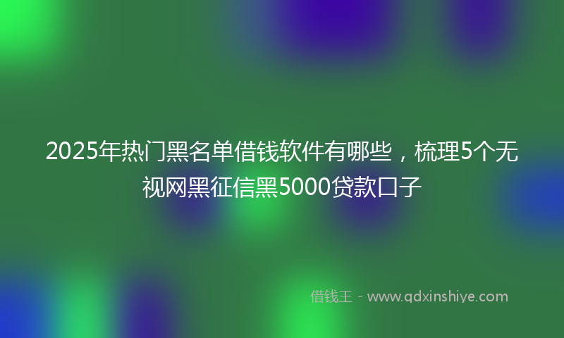 2025年热门黑名单借钱软件有哪些，梳理5个无视网黑征信黑5000贷款口子