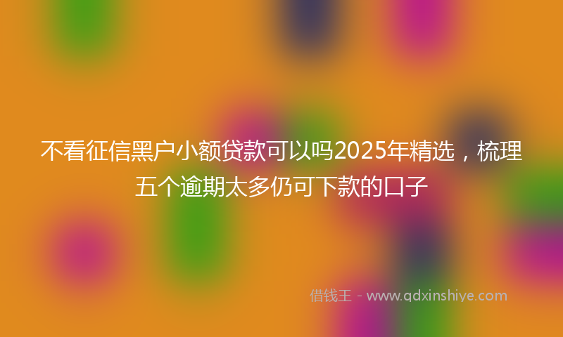 不看征信黑户小额贷款可以吗2025年精选，梳理五个逾期太多仍可下款的口子
