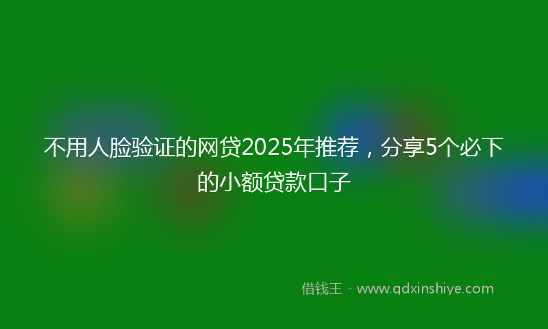 不用人脸验证的网贷2025年推荐，分享5个必下的小额贷款口子