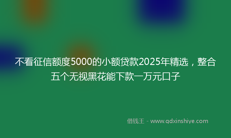 不看征信额度5000的小额贷款2025年精选，整合五个无视黑花能下款一万元口子