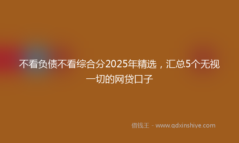 不看负债不看综合分2025年精选，汇总5个无视一切的网贷口子