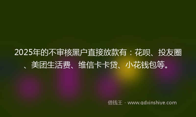 2025年的不审核黑户直接放款有：花呗、投友圈、美团生活费、维信卡卡贷、小花钱包等。