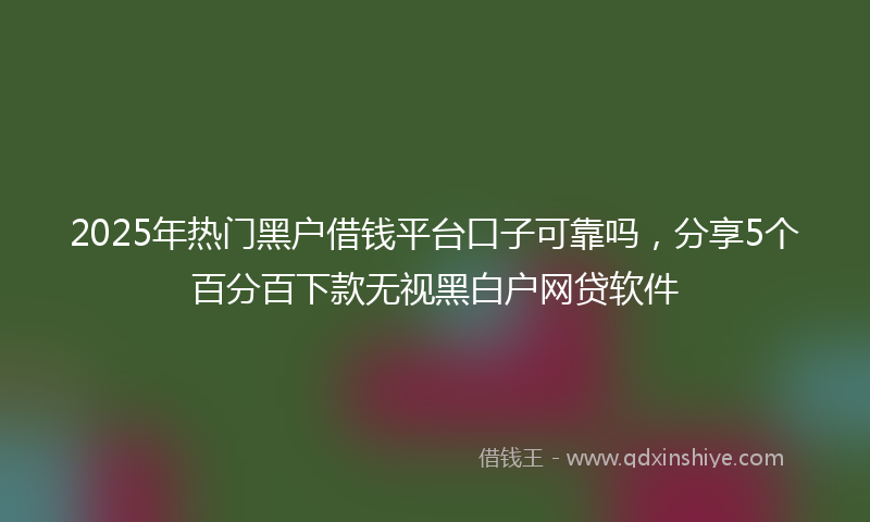 2025年热门黑户借钱平台口子可靠吗，分享5个百分百下款无视黑白户网贷软件