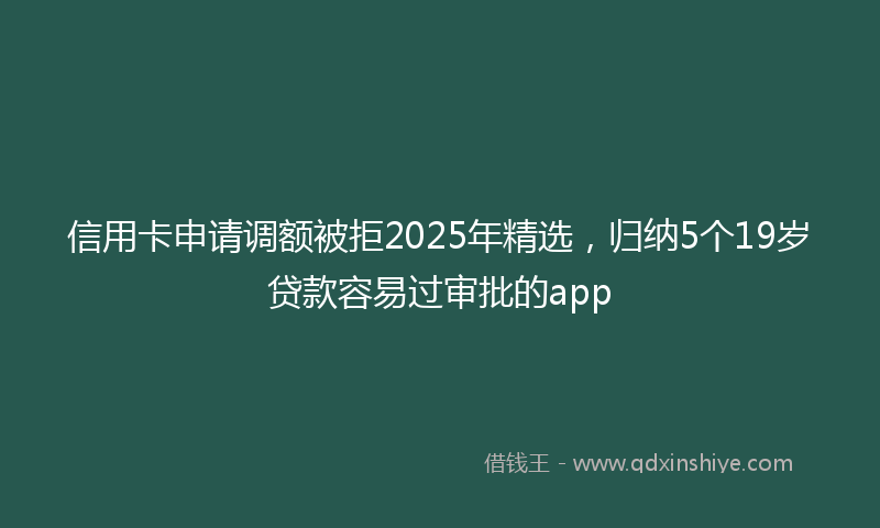 信用卡申请调额被拒2025年精选，归纳5个19岁贷款容易过审批的app