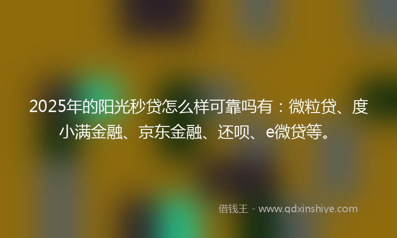 2025年的阳光秒贷怎么样可靠吗有：微粒贷、度小满金融、京东金融、还呗、e微贷等。