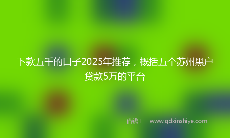 下款五千的口子2025年推荐，概括五个苏州黑户贷款5万的平台
