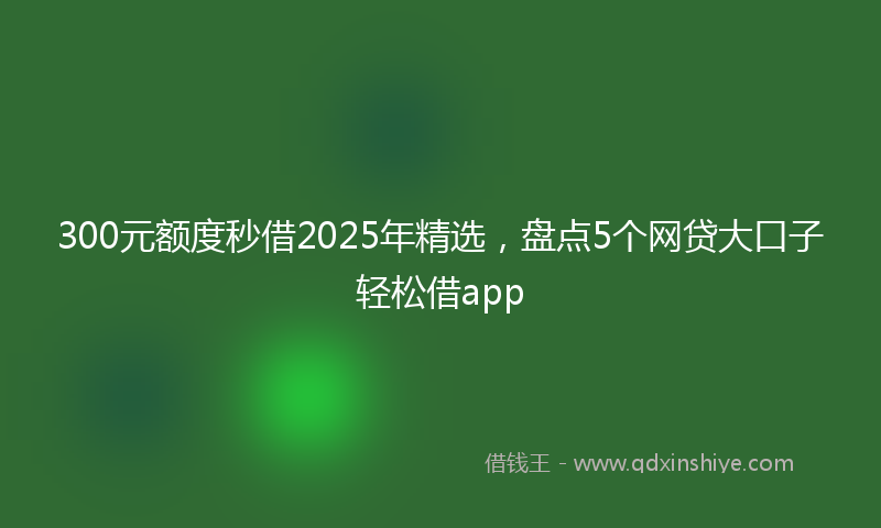 300元额度秒借2025年精选，盘点5个网贷大口子轻松借app
