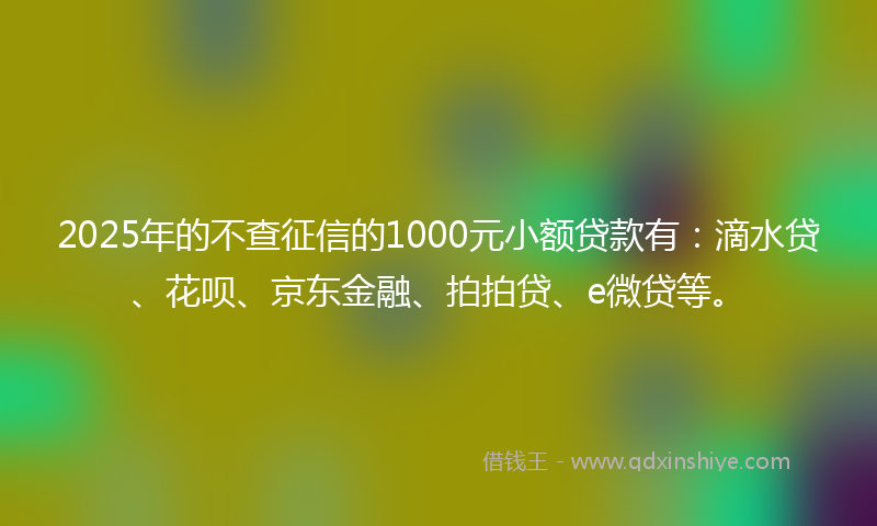 2025年的不查征信的1000元小额贷款有：滴水贷、花呗、京东金融、拍拍贷、e微贷等。