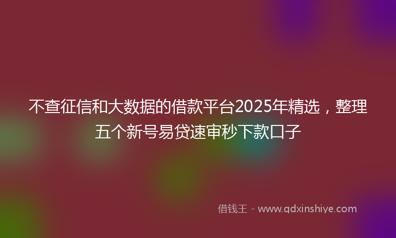 不查征信和大数据的借款平台2025年精选，整理五个新号易贷速审秒下款口子